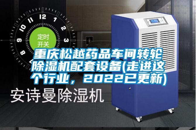 重慶松越藥品車間轉輪除濕機配套設備(走進這個行業,2022已更新)