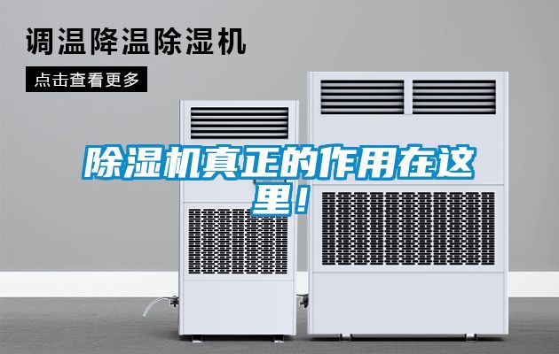 除濕機真正的作用在這里!