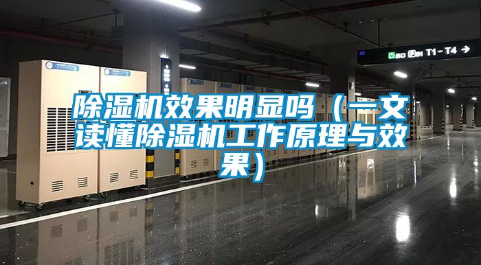 除濕機(jī)效果明顯嗎(一文讀懂除濕機(jī)工作原理與效果)