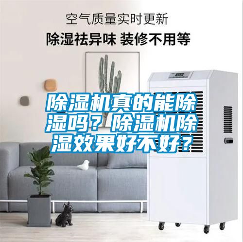 除濕機真的能除濕嗎?除濕機除濕效果好不好?