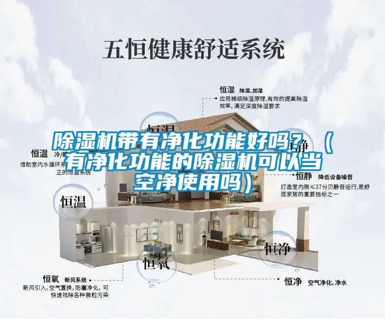 除濕機帶有凈化功能好嗎?(有凈化功能的除濕機可以當空凈使用嗎)