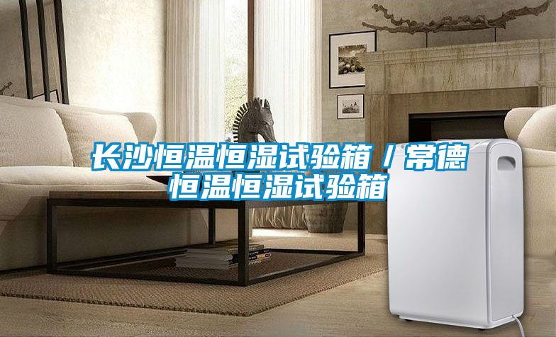 長沙恒溫恒濕試驗箱/常德恒溫恒濕試驗箱