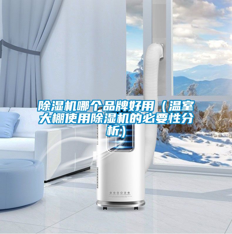 除濕機哪個品牌好用(溫室大棚使用除濕機的必要性分析)