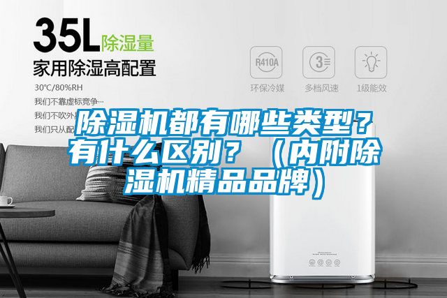 除濕機都有哪些類型？有什么區別？（內附除濕機精品品牌）