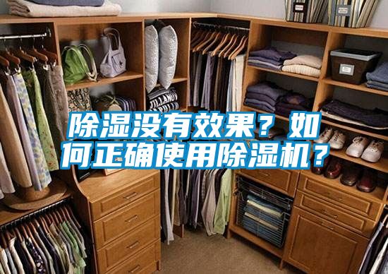 除濕沒有效果？如何正確使用除濕機？