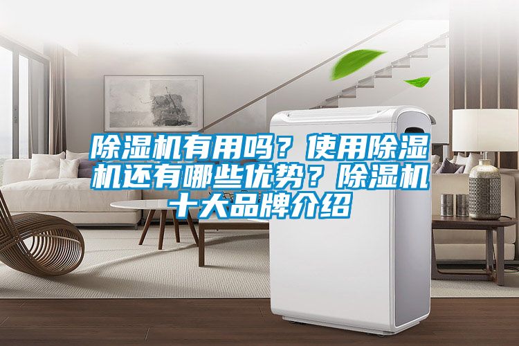 除濕機有用嗎?使用除濕機還有哪些優(yōu)勢?除濕機十大品牌介紹