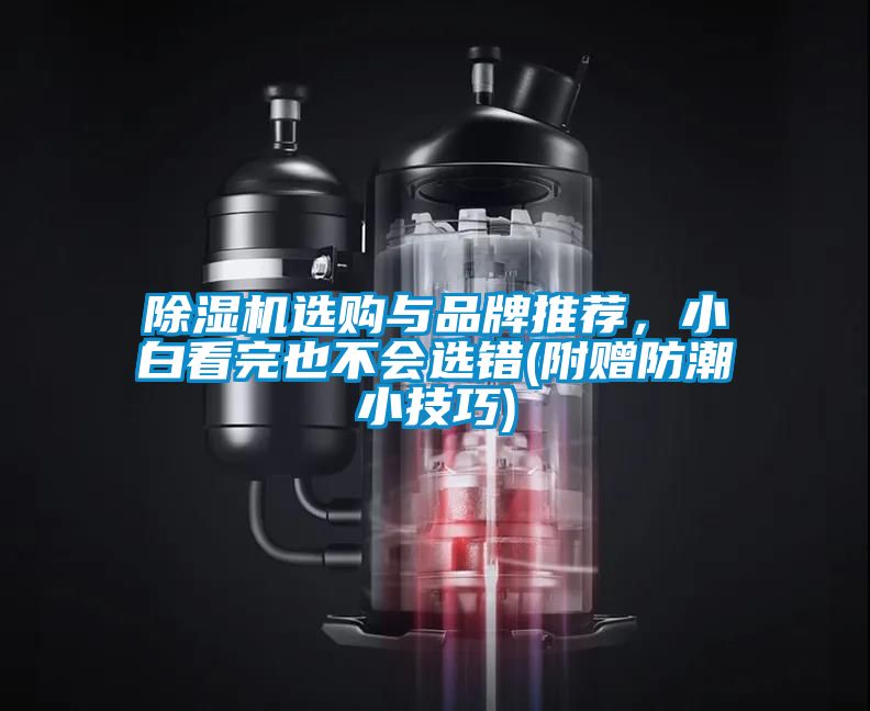 除濕機選購與品牌推薦，小白看完也不會選錯(附贈防潮小技巧)