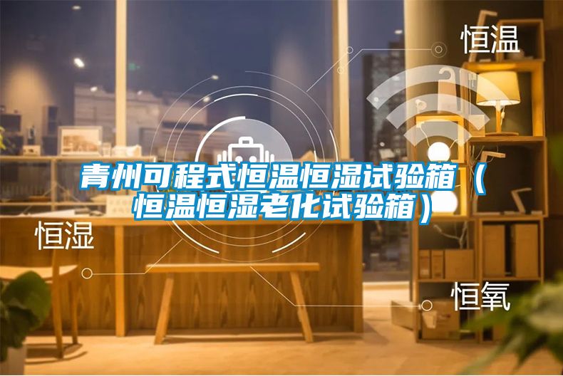 青州可程式恒溫恒濕試驗箱(恒溫恒濕老化試驗箱)