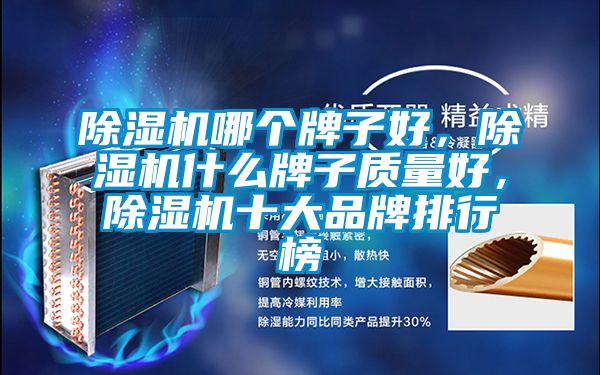除濕機哪個牌子好,除濕機什么牌子質量好,除濕機十大品牌排行榜