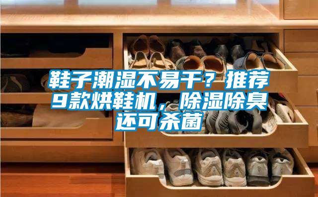 鞋子潮濕不易干?推薦9款烘鞋機(jī),除濕除臭還可殺菌