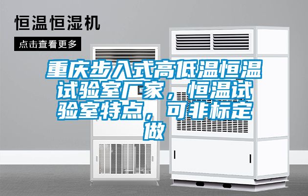 重慶步入式高低溫恒溫試驗(yàn)室廠家,恒溫試驗(yàn)室特點(diǎn),可非標(biāo)定做