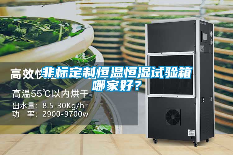 非標定制恒溫恒濕試驗箱哪家好?