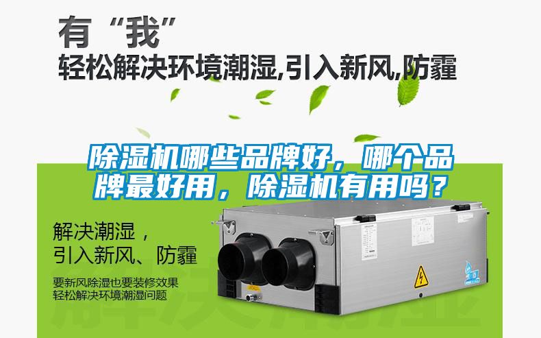 除濕機(jī)哪些品牌好,哪個(gè)品牌最好用,除濕機(jī)有用嗎?