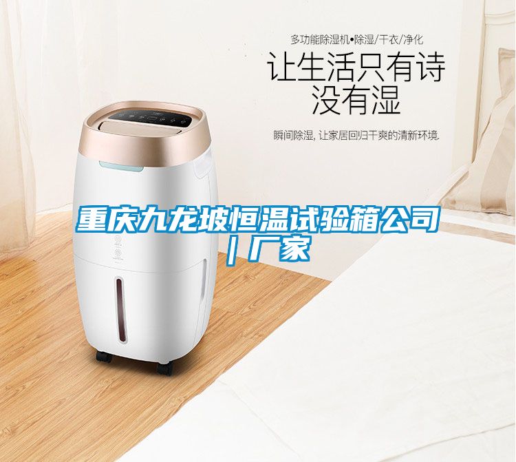 重慶九龍坡恒溫試驗(yàn)箱公司|廠家