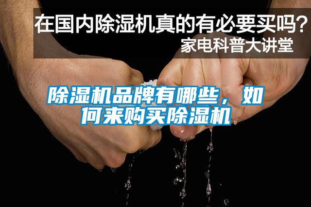 除濕機品牌有哪些,如何來購買除濕機