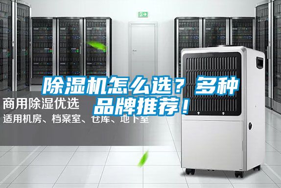 除濕機怎么選？多種品牌推薦！