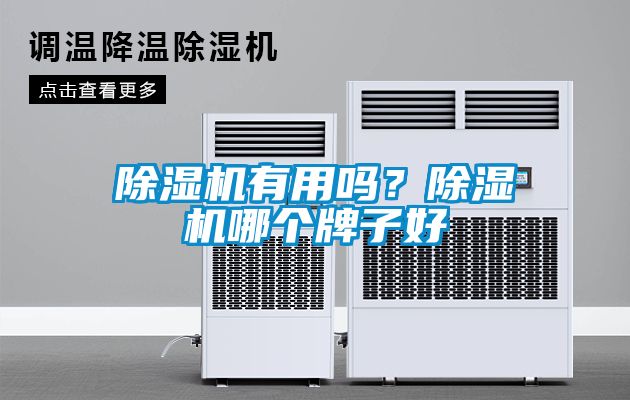 除濕機有用嗎?除濕機哪個牌子好