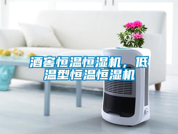 酒窖恒溫恒濕機,低溫型恒溫恒濕機