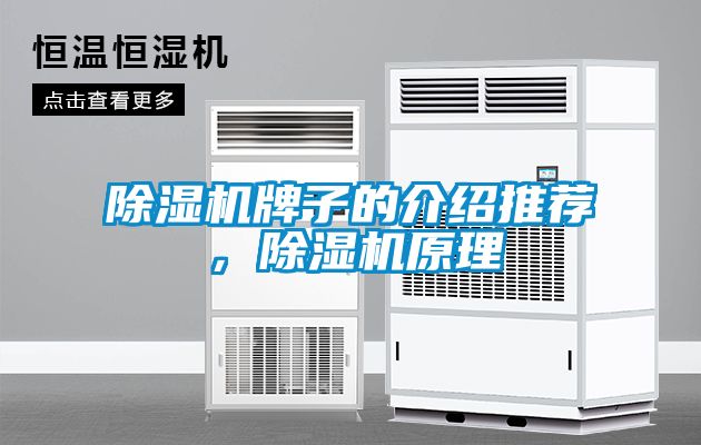 除濕機牌子的介紹推薦,除濕機原理
