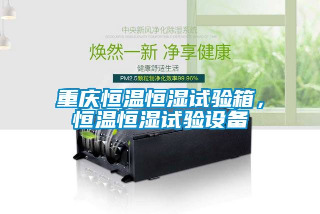 重慶恒溫恒濕試驗(yàn)箱，恒溫恒濕試驗(yàn)設(shè)備