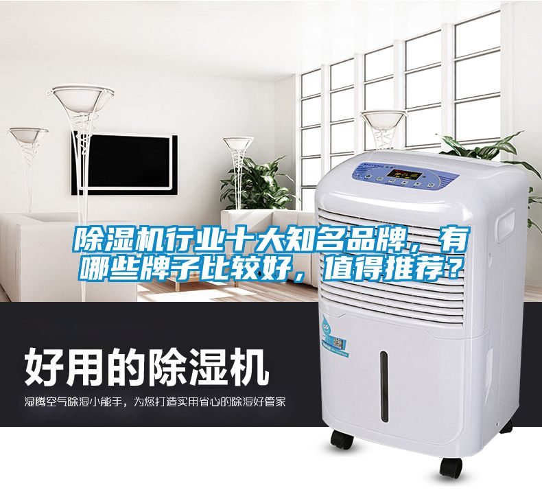 除濕機行業(yè)十大知名品牌,有哪些牌子比較好,值得推薦?