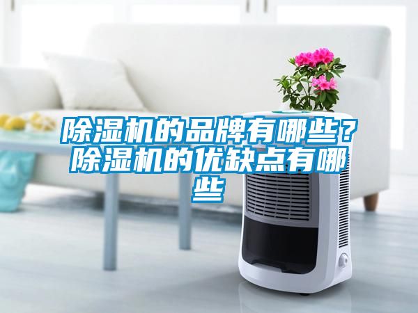 除濕機的品牌有哪些?除濕機的優缺點有哪些