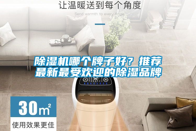 除濕機哪個牌子好?推薦最新最受歡迎的除濕品牌