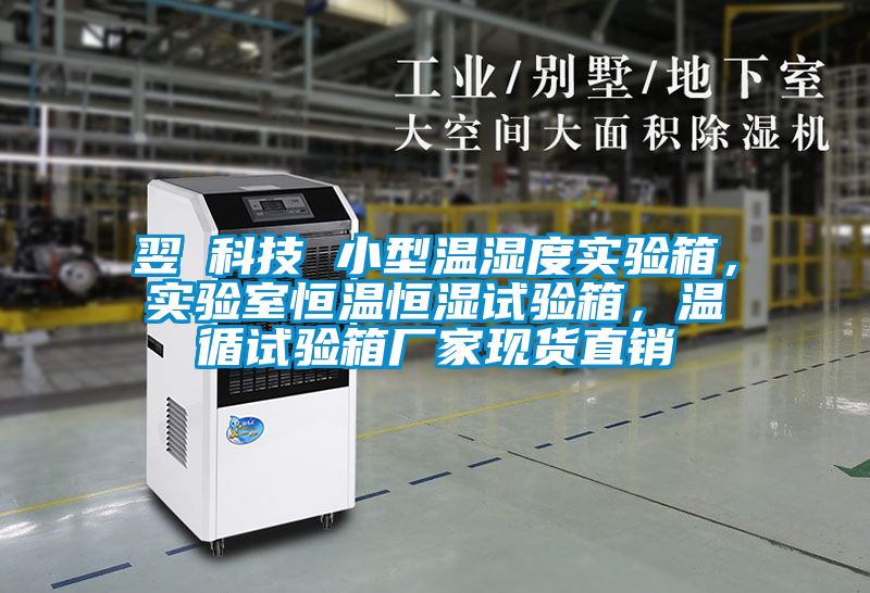 翌昇科技 小型溫濕度實驗箱,實驗室恒溫恒濕試驗箱,溫循試驗箱廠家現(xiàn)貨直銷