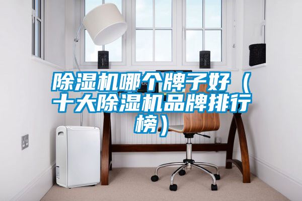 除濕機哪個牌子好(十大除濕機品牌排行榜)