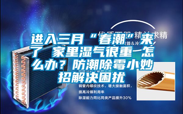進(jìn)入三月“春潮”來了 家里濕氣很重 怎么辦?防潮除霉小妙招解決困擾
