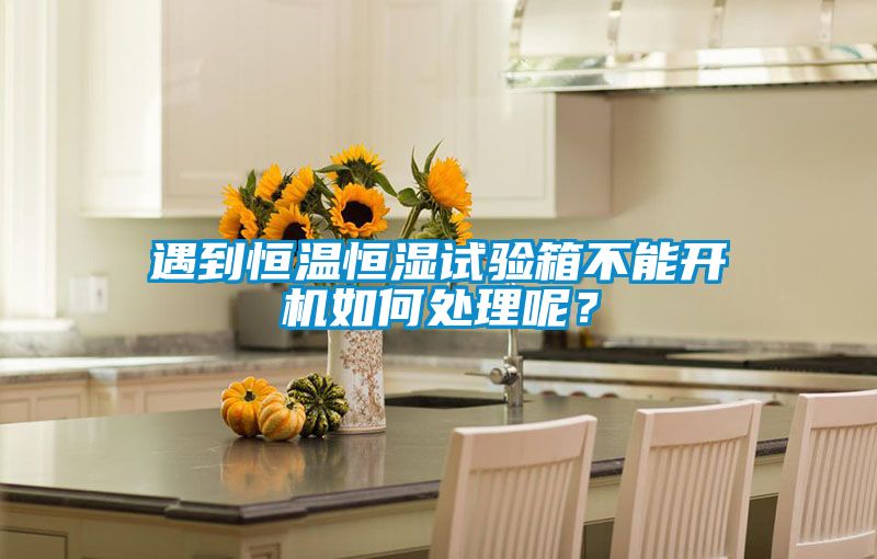 遇到恒溫恒濕試驗(yàn)箱不能開(kāi)機(jī)如何處理呢？