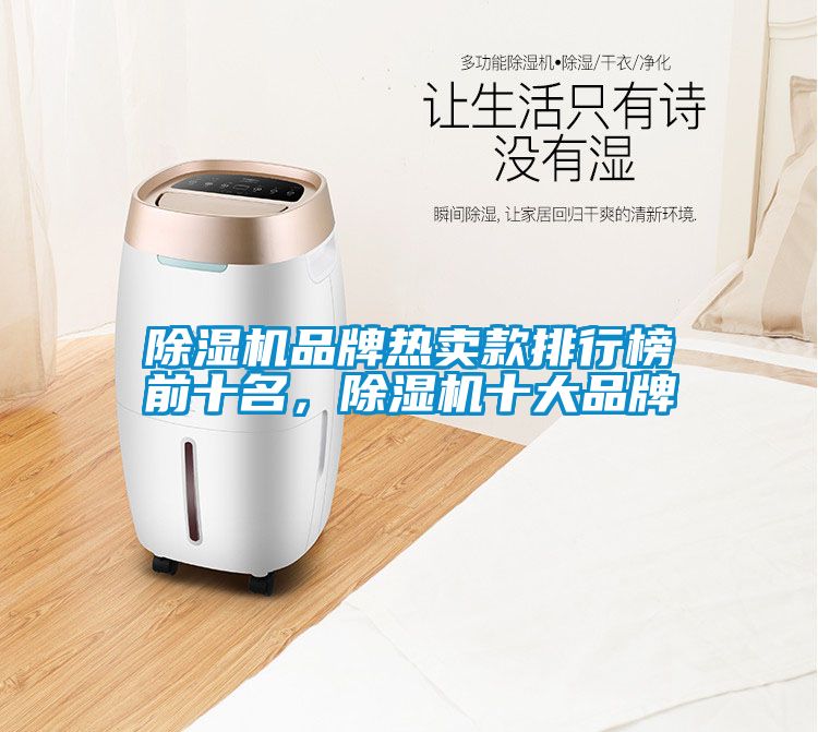 除濕機品牌熱賣款排行榜前十名，除濕機十大品牌
