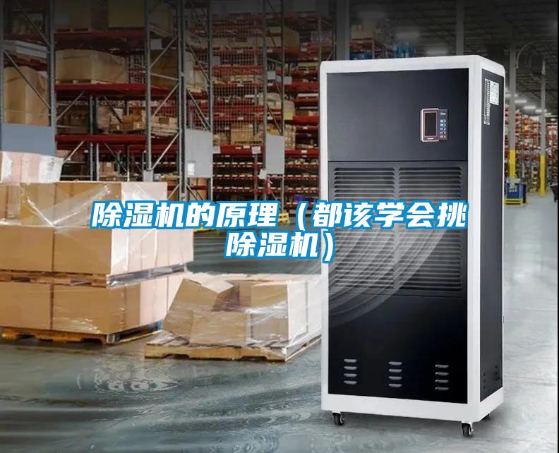 除濕機的原理(都該學會挑除濕機)