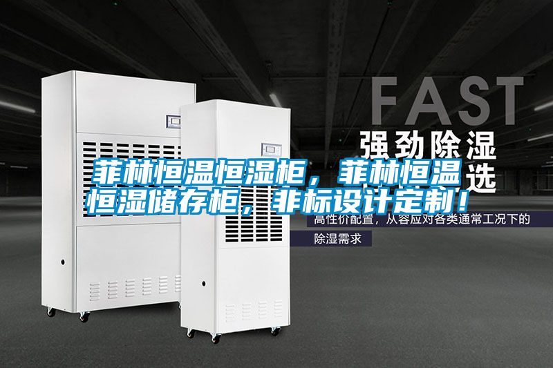 菲林恒溫恒濕柜，菲林恒溫恒濕儲存柜，非標設計定制！