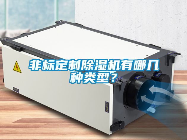 非標定制除濕機有哪幾種類型?