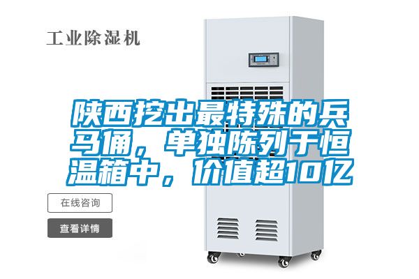 陜西挖出最特殊的兵馬俑,單獨(dú)陳列于恒溫箱中,價(jià)值超10億