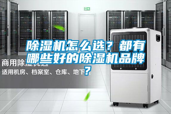 除濕機(jī)怎么選?都有哪些好的除濕機(jī)品牌?
