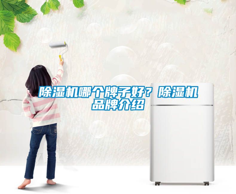 除濕機哪個牌子好?除濕機品牌介紹