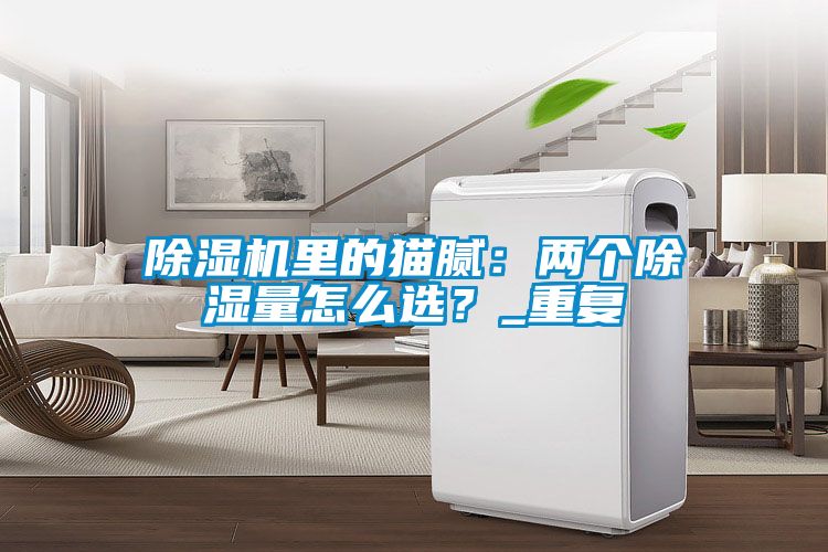 除濕機里的貓膩：兩個除濕量怎么選？_重復(fù)