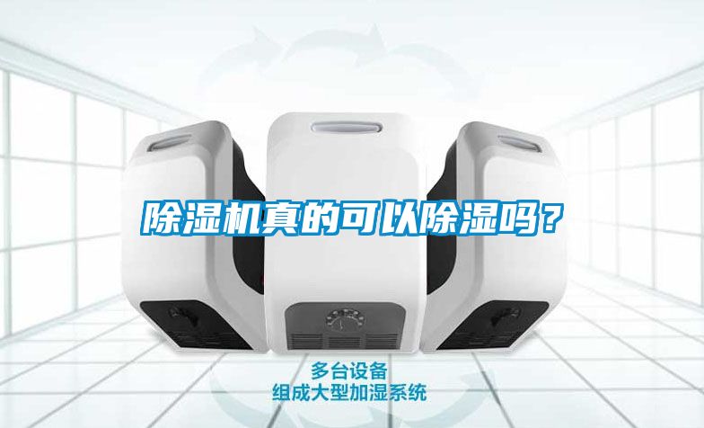 除濕機(jī)真的可以除濕嗎?