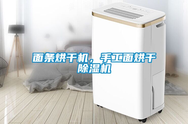 面條烘干機(jī),手工面烘干除濕機(jī)