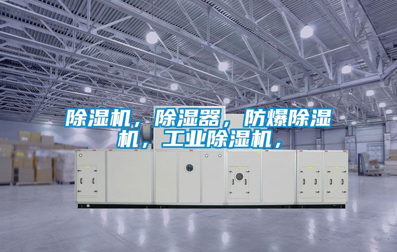 除濕機,除濕器,防爆除濕機,工業(yè)除濕機,