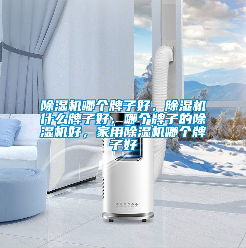 除濕機(jī)哪個(gè)牌子好,除濕機(jī)什么牌子好,哪個(gè)牌子的除濕機(jī)好,家用除濕機(jī)哪個(gè)牌子好