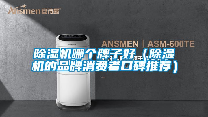 除濕機哪個牌子好(除濕機的品牌消費者口碑推薦)