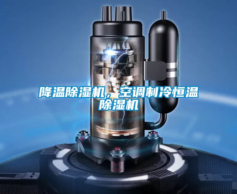降溫除濕機(jī),空調(diào)制冷恒溫除濕機(jī)