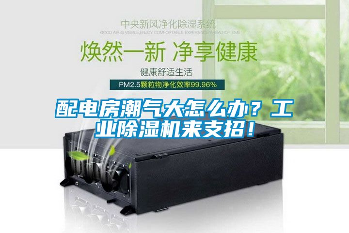 配電房潮氣大怎么辦?工業(yè)除濕機(jī)來支招!