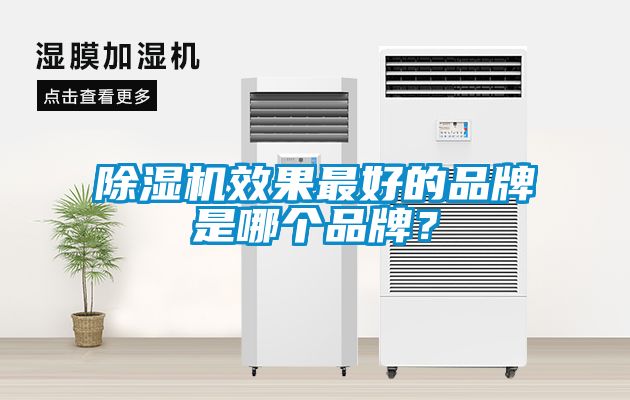 除濕機效果最好的品牌是哪個品牌?
