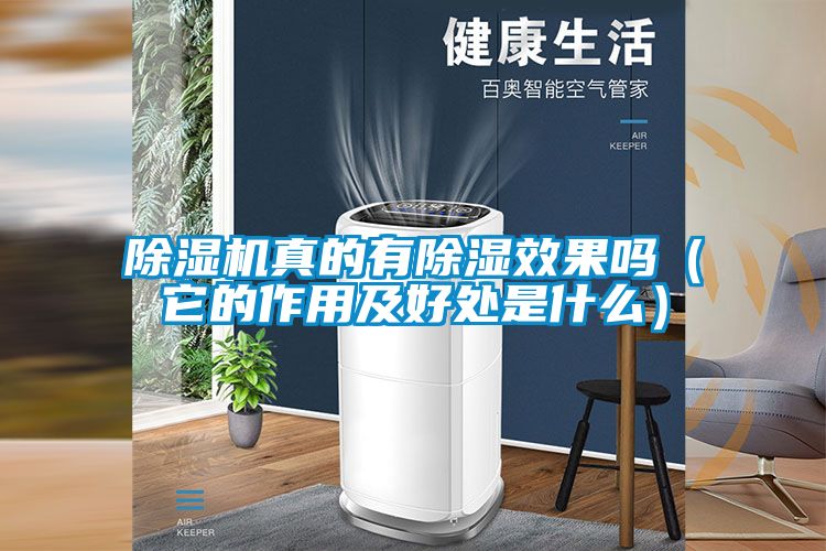 除濕機(jī)真的有除濕效果嗎(它的作用及好處是什么)