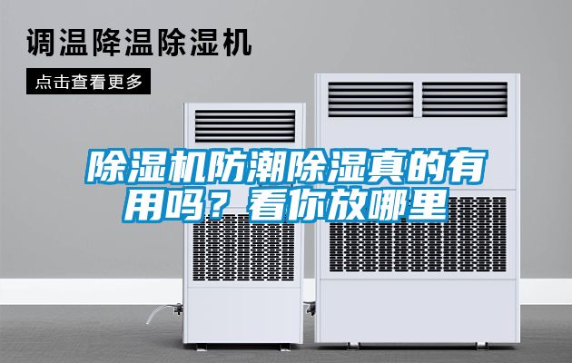 除濕機(jī)防潮除濕真的有用嗎?看你放哪里