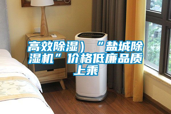 高效除濕)“鹽城除濕機”價格低廉品質上乘